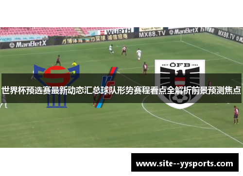 世界杯预选赛最新动态汇总球队形势赛程看点全解析前景预测焦点